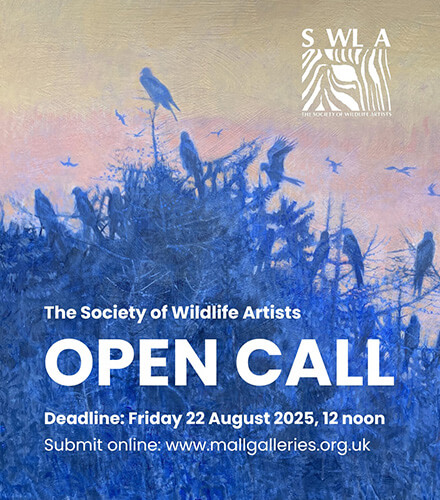 Call for Entries: The Natural Eye 2025 by the Society of Wildlife Artists