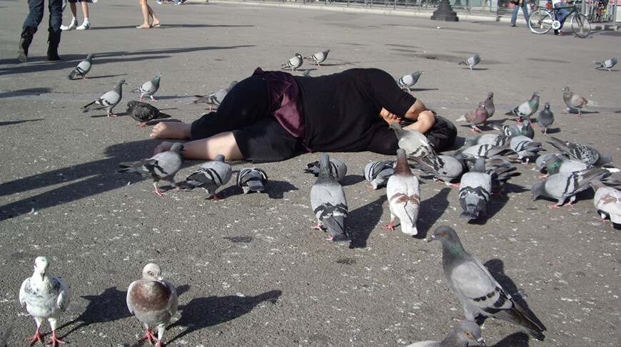 Sonia Khurana, Logic of birds, 2006, video/photo series. (Image Courtesy: whitechapelgallery.org)